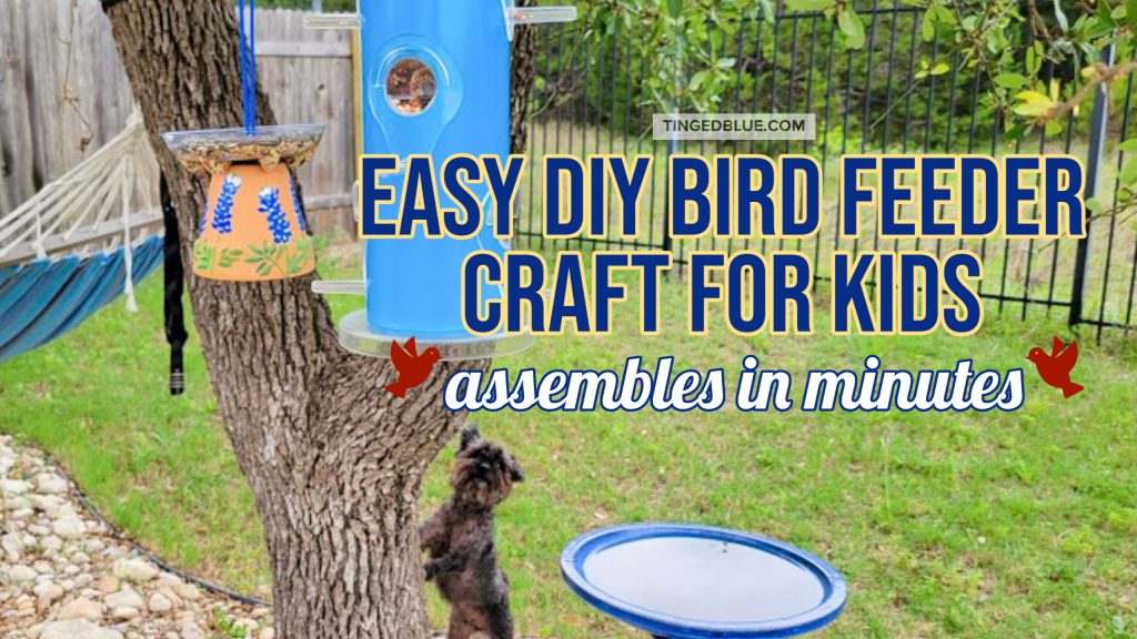 Kids Arts and Crafts 4-Pack Bird Feeders for Outdoor, DIY Wooden